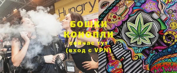 гидра Аркадак