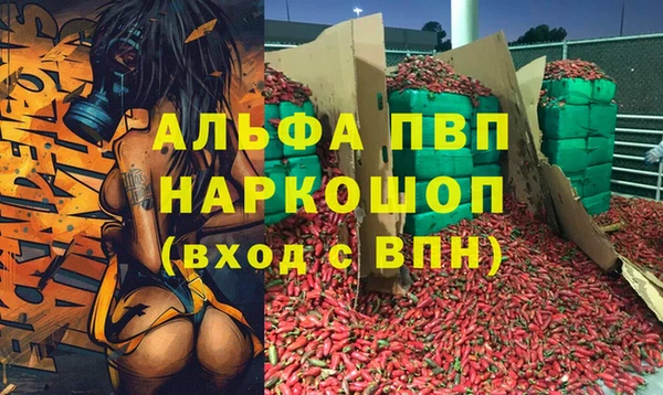 гидра Аркадак