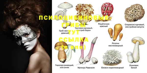 меф Рославль