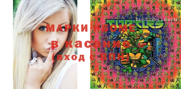 гидра Аркадак